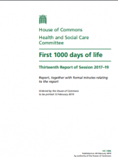 First 1000 days of life: Thirteenth Report of Session 2017–19: Report, together with formal minutes relating to the report